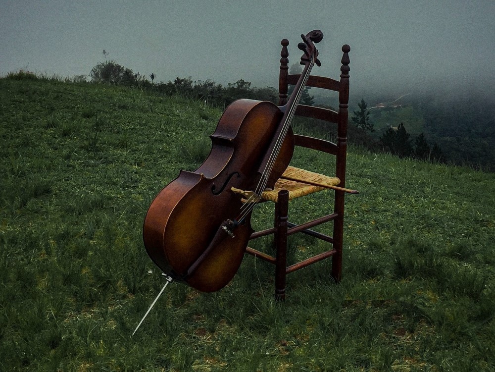 cello leaning on a chair in a field